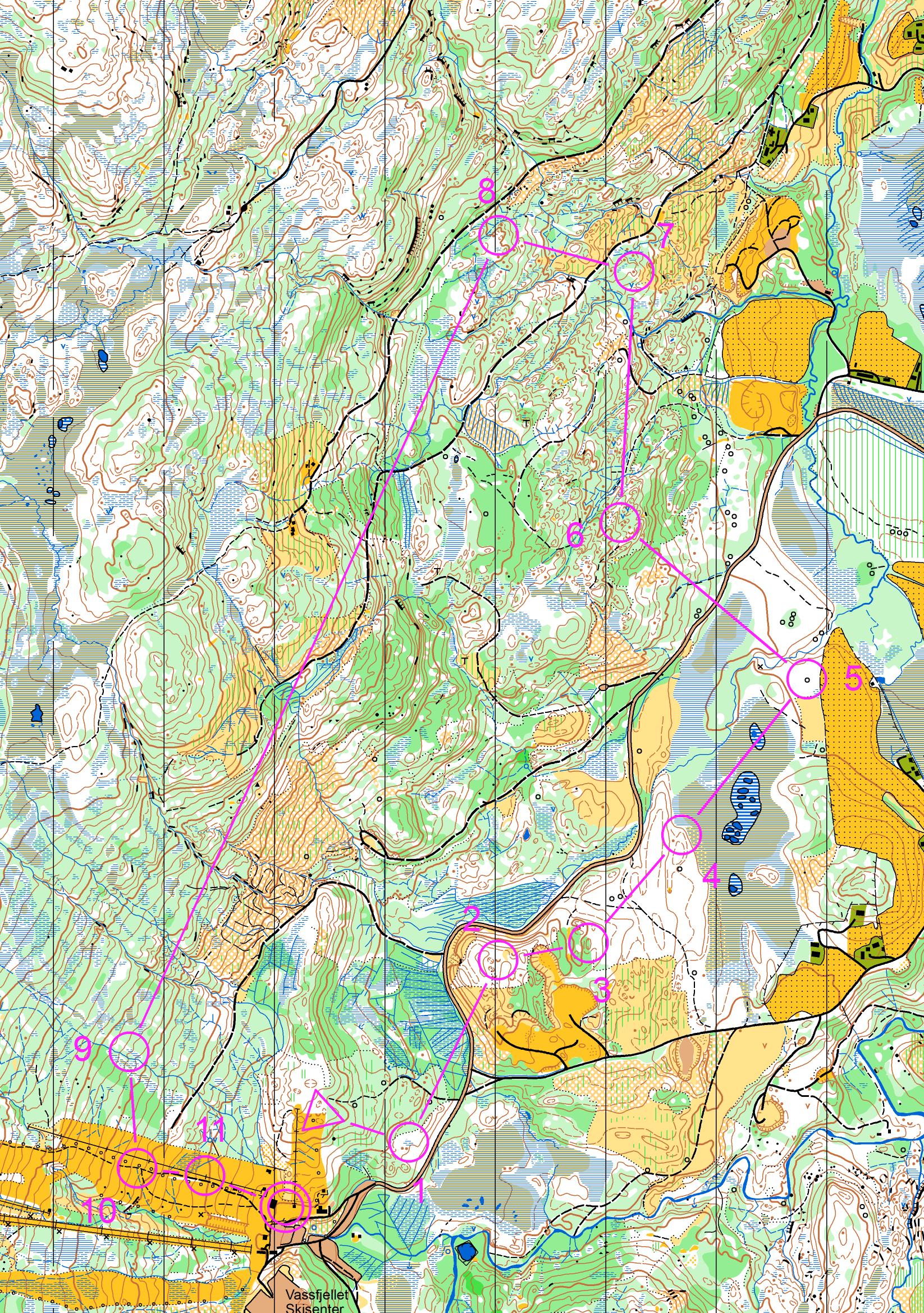 BO-løp Vassfjellet - Blå (2013-08-13)