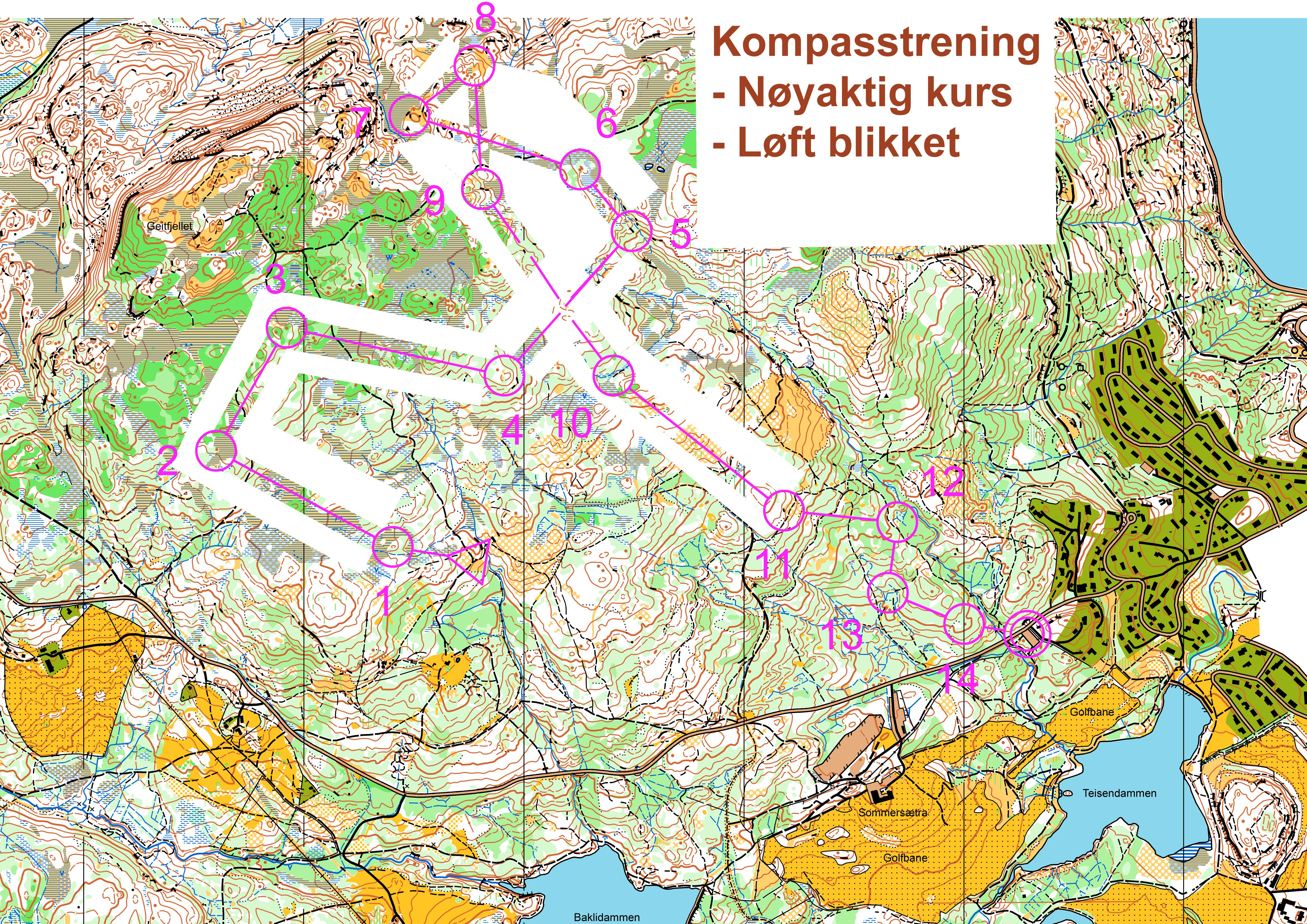 Trening retning/kompass Geitfjellet (14-05-2014)