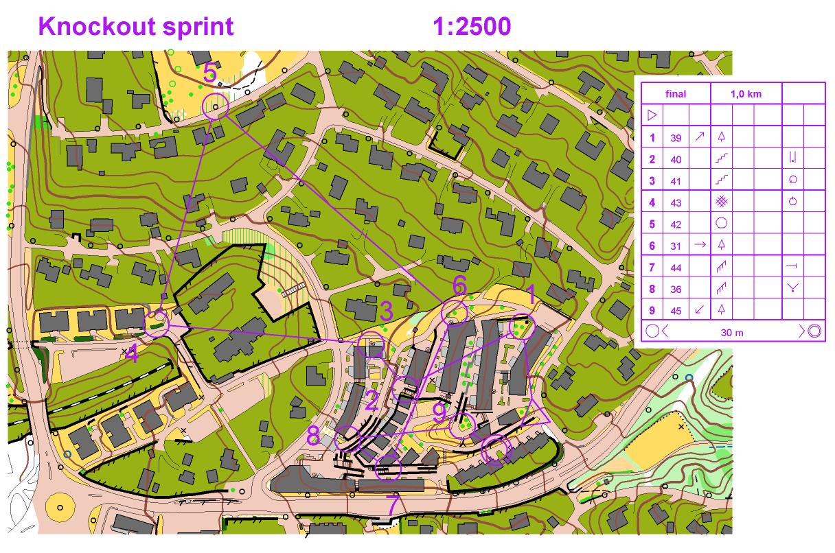 Trening HVGS sprint finale Berg (2013-04-16)