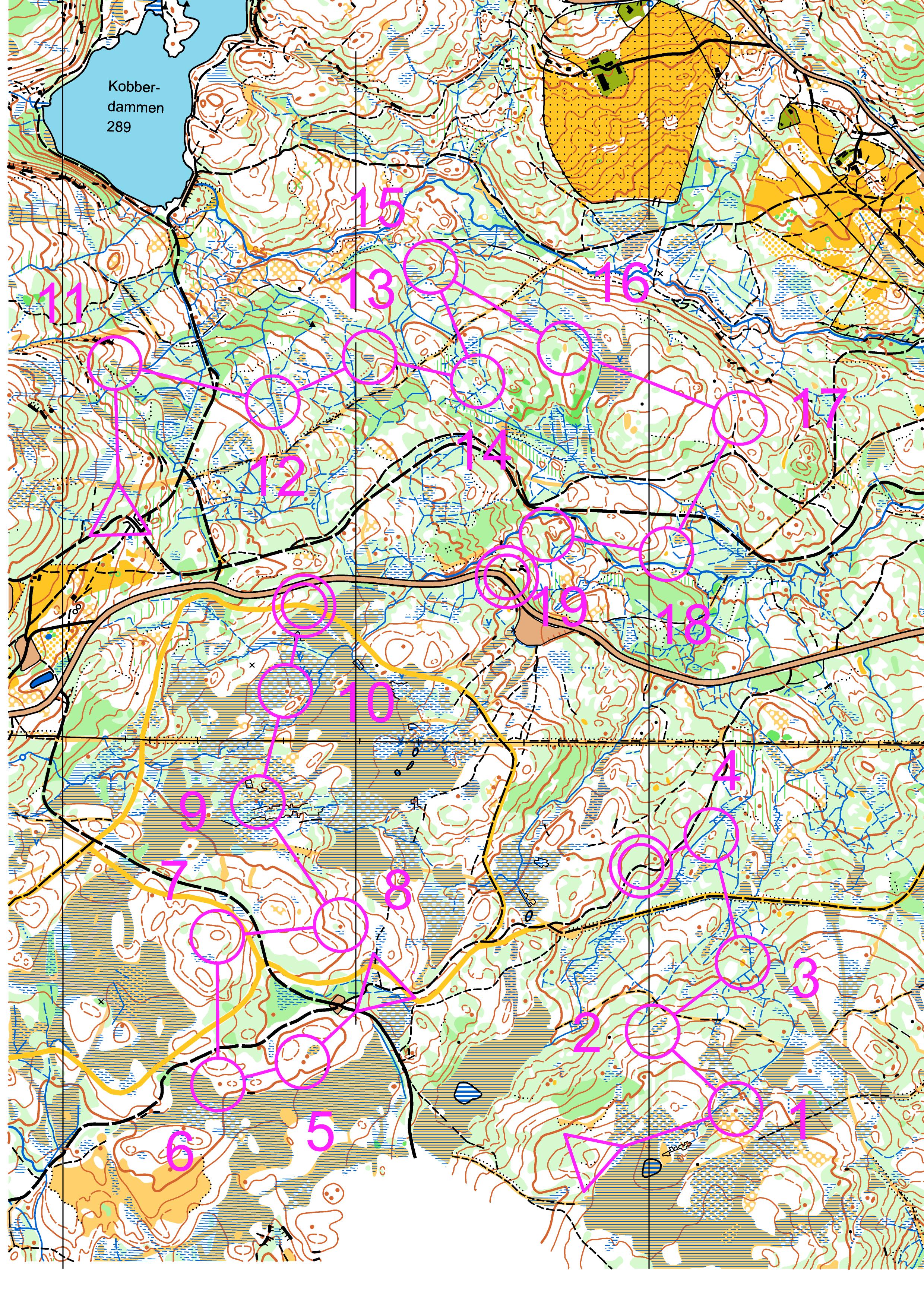 Onsdagstrening 28.5. Downhill postplukk, 1:5000 (27.05.2014)